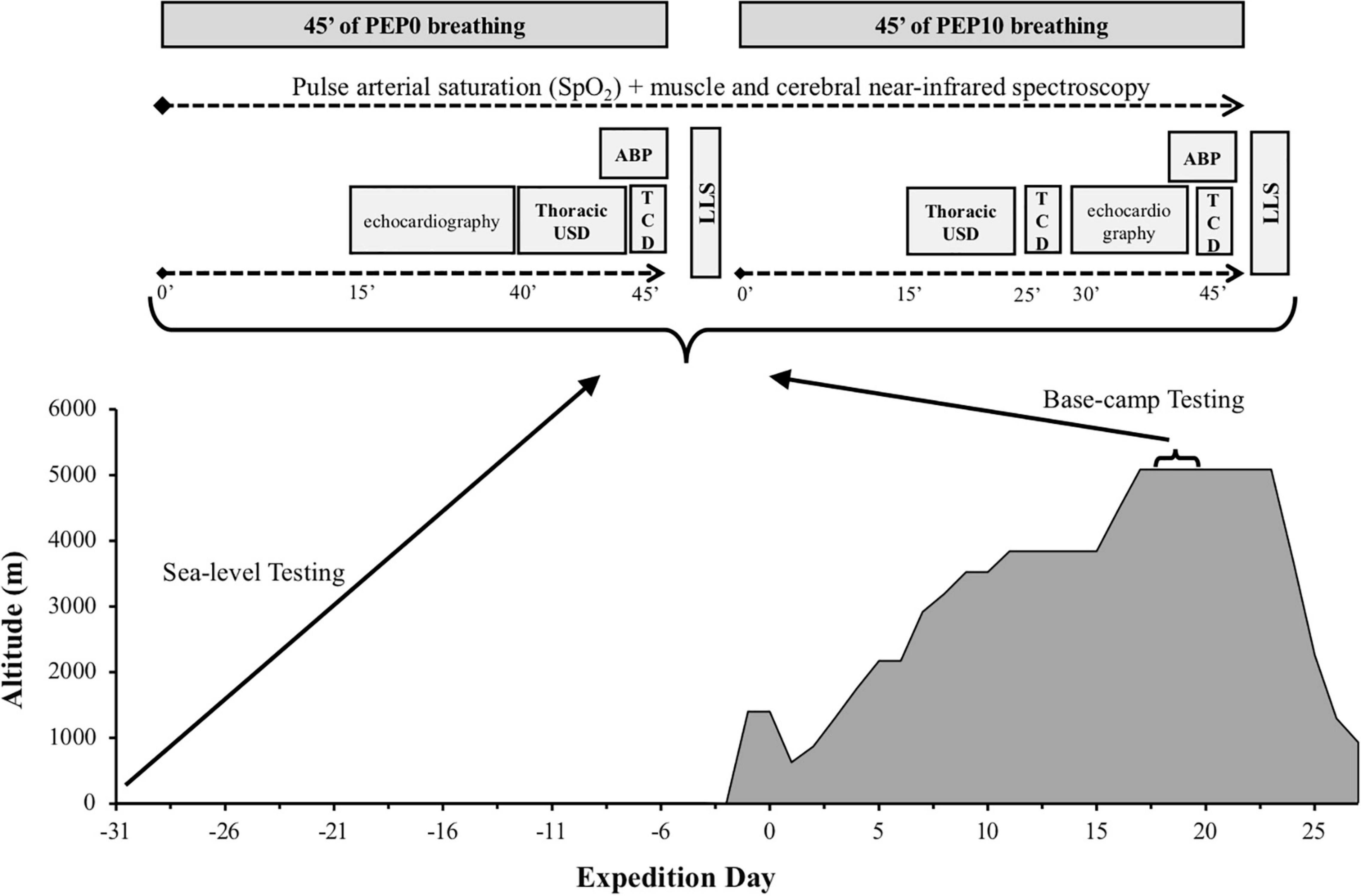 Frontiers | MEDEX 2015: Prophylactic Effects of Positive