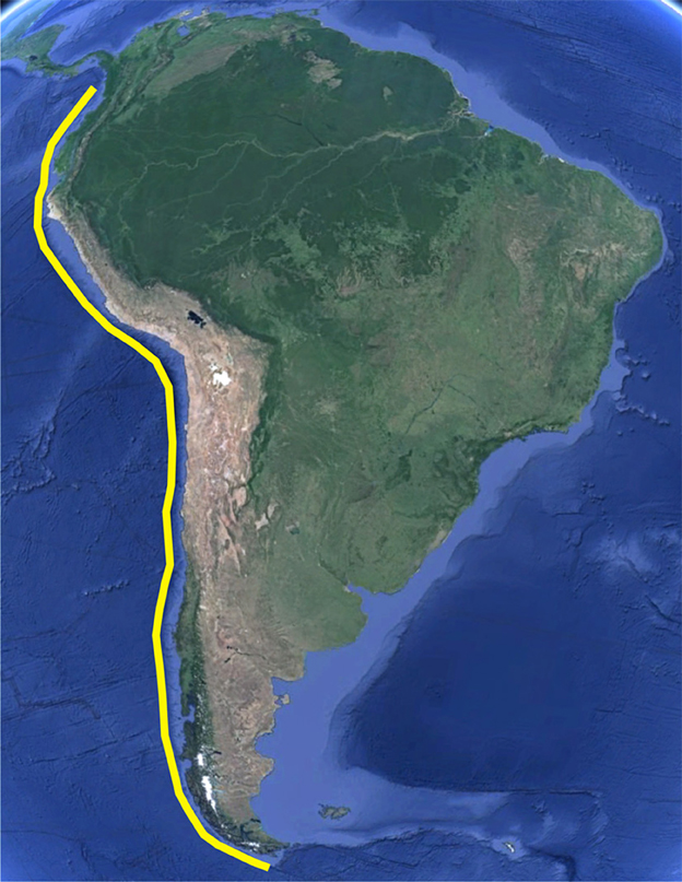 www.frontiersin.org