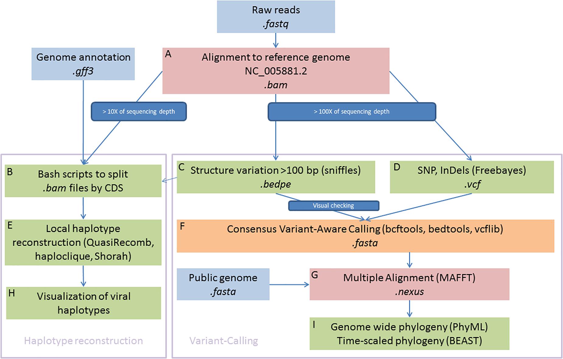 Frontiers Genomic Diversity Of The Ostreid Herpesvirus Type 1 Across Time And Location And Among Host Species