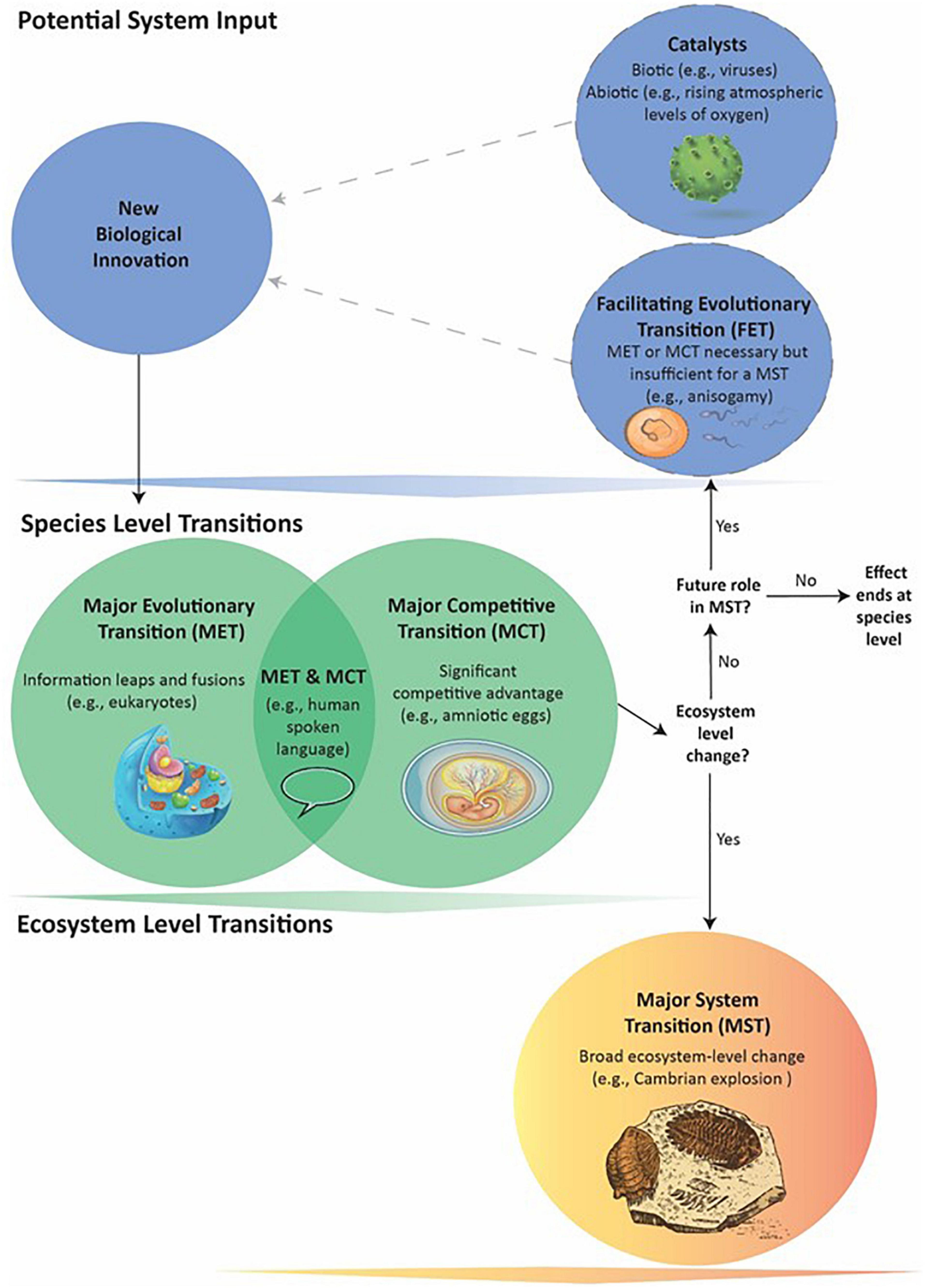 Catalyst, Examples, Definition, & Facts