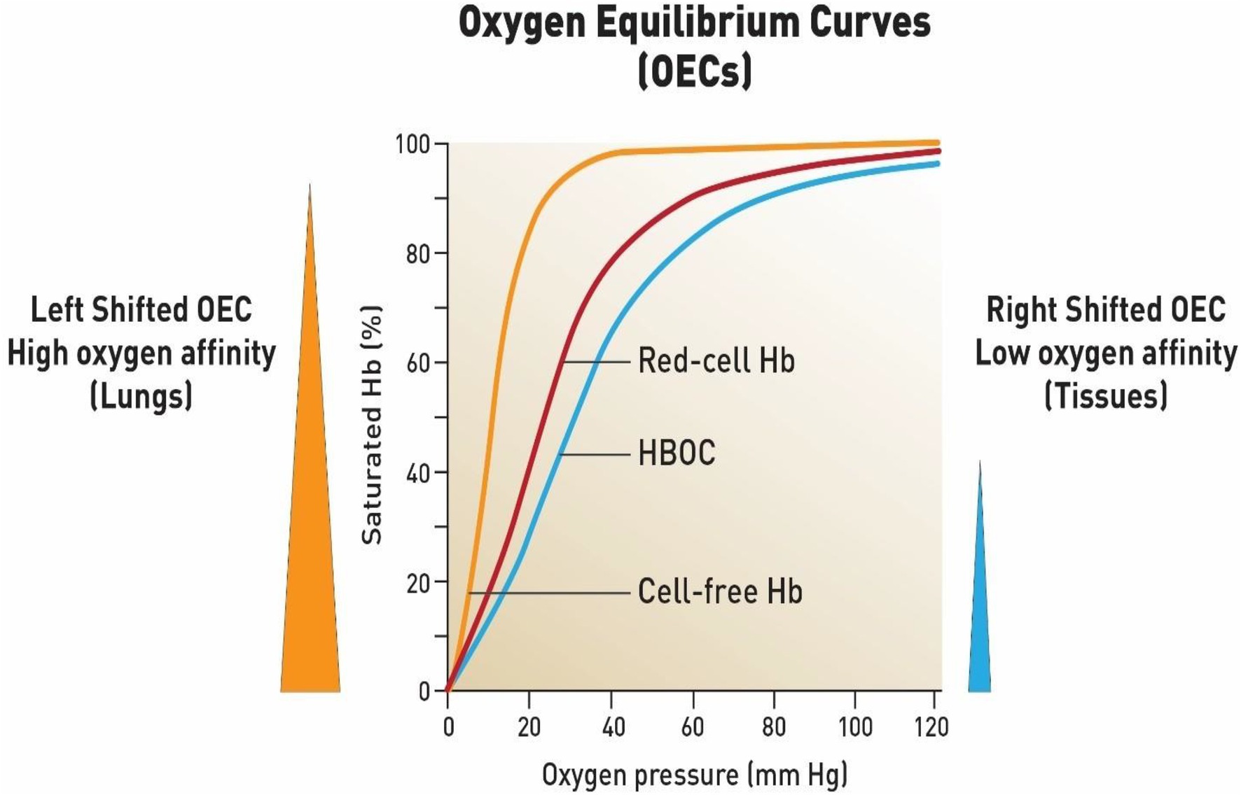 Frontiers | The Impact of COVID-19 Infection on Oxygen Homeostasis: A Molecular Perspective