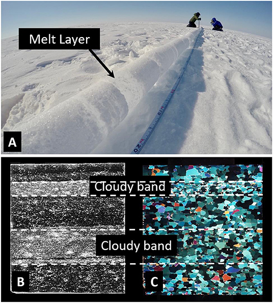 Figure 2 - (A) Melt layers visible in an ice core on Devon Ice Cap, Canadian High Arctic.