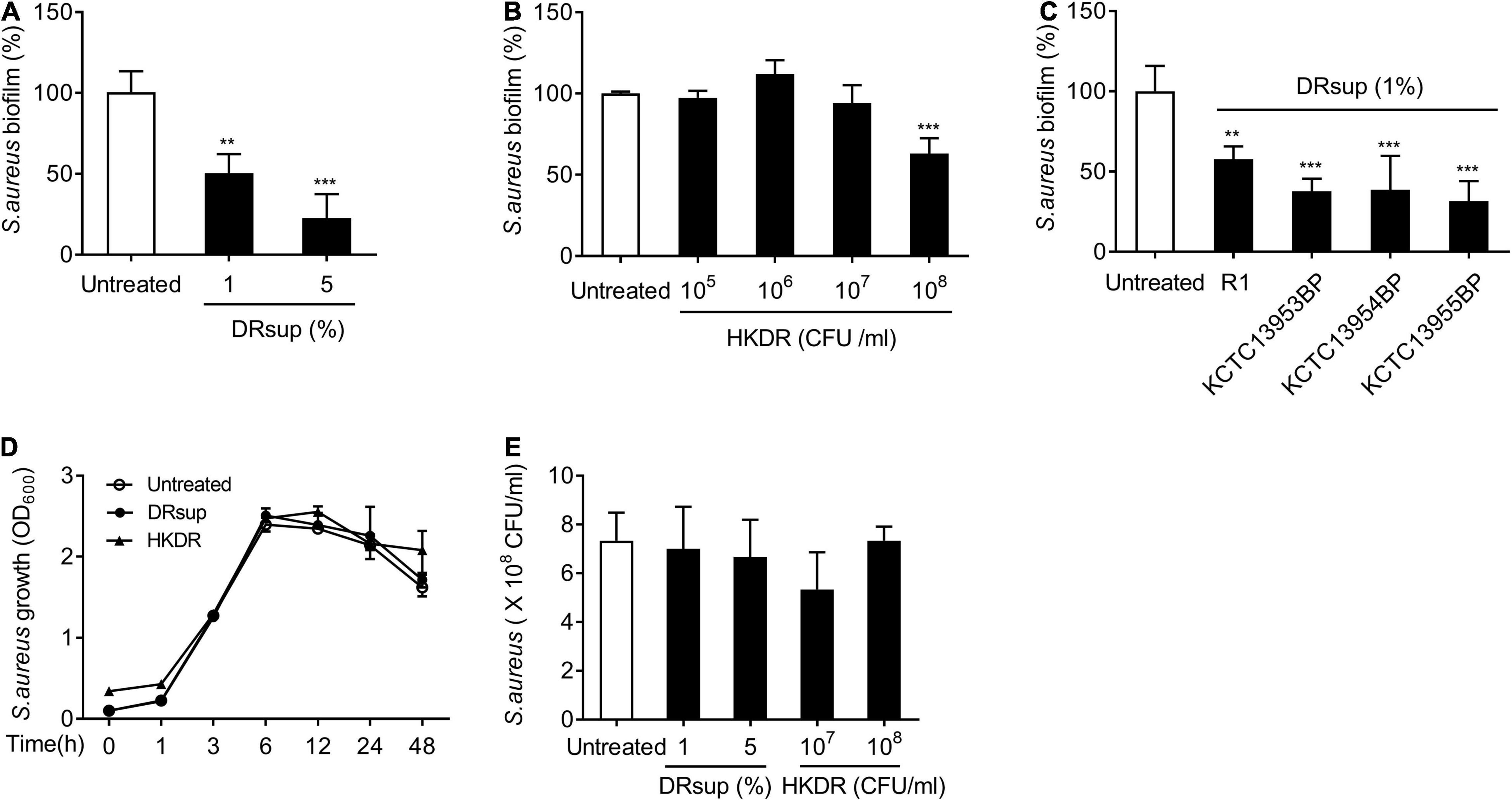 Molecular repertoire of Deinococcus radiodurans after 1 year of