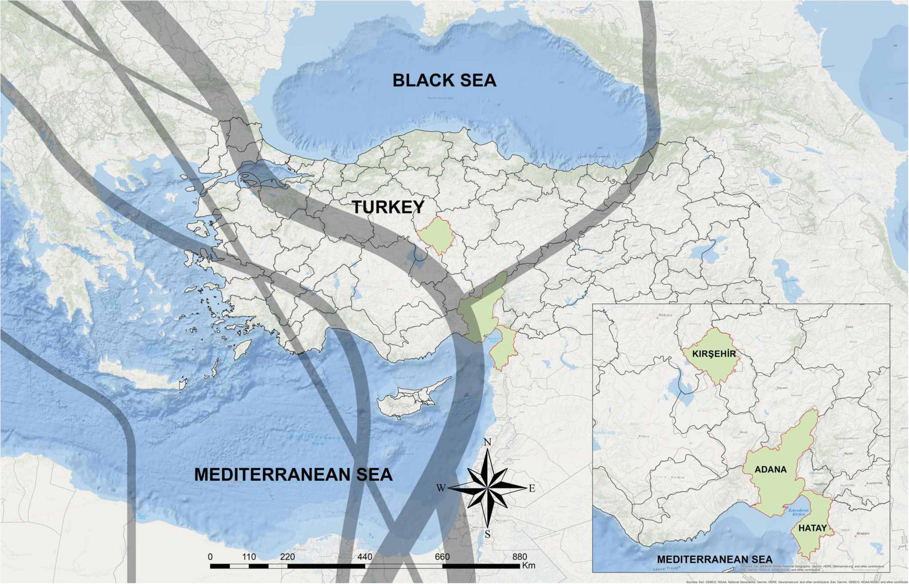 www.frontiersin.org