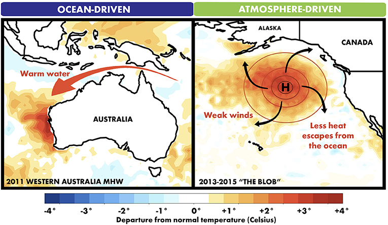 Figure 2 - Marine heatwaves are ocean-driven or atmosphere-driven.