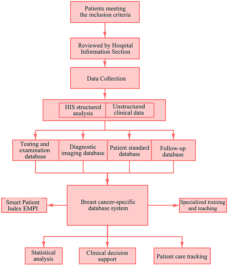 Reference Chart - Understanding Breast Cancer 