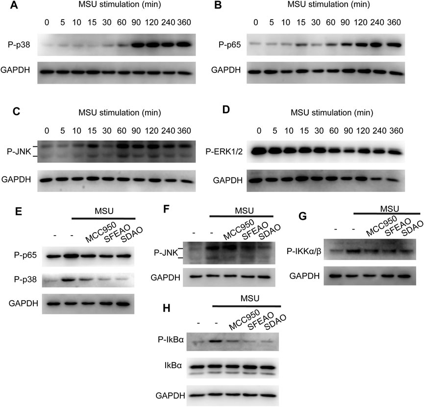 prostate 18 év