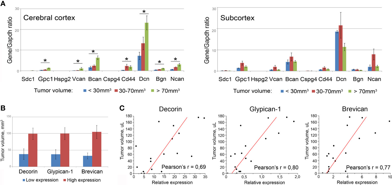 taxol taxic levels in thebrain