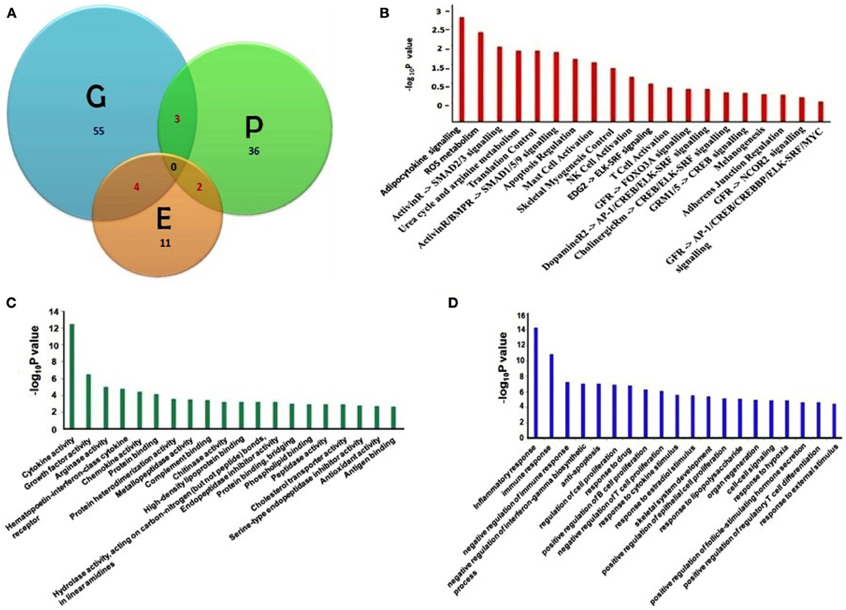 view mammalian and avian transgenesis new approaches principles and