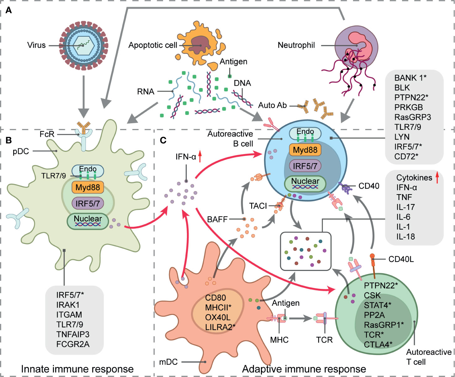 The role played by alternative splicing in antigenic variability