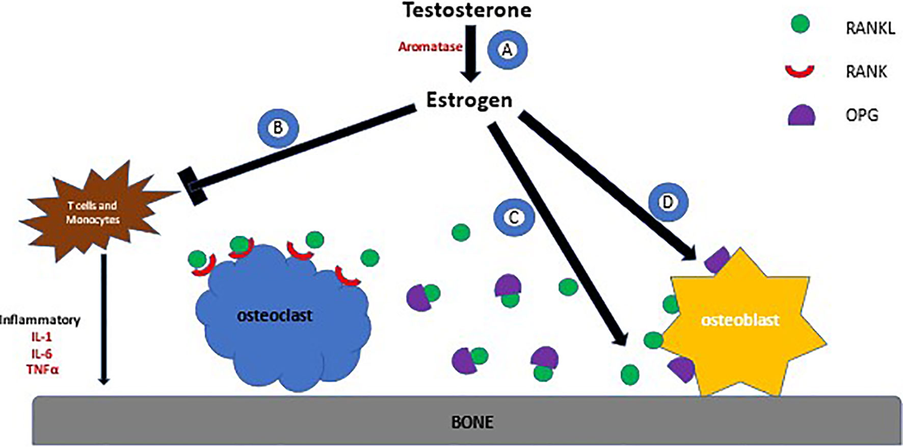 3 buy drostanolone propionate Secrets You Never Knew