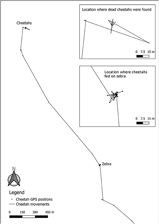 www.frontiersin.org