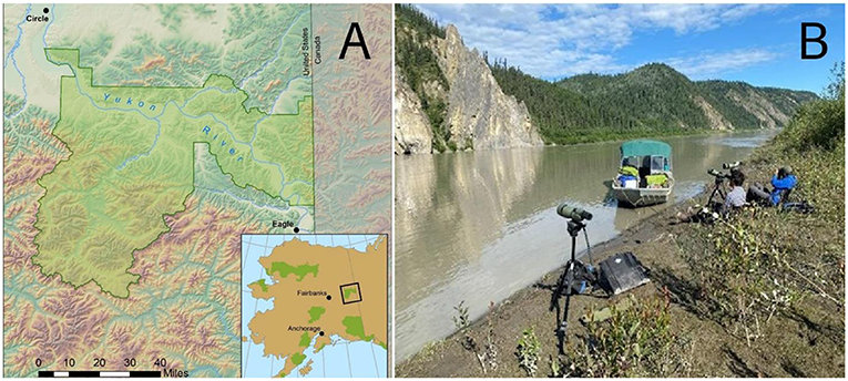 Figure 2 - (A) The upper Yukon River flows 266 km (165 miles) between the Canadian border and Circle, Alaska.