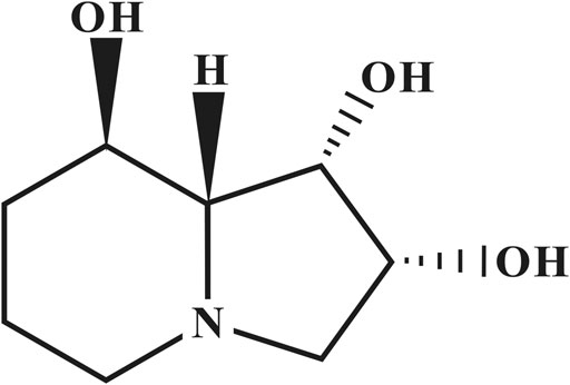 Frontiers  Swainsonine Triggers Paraptosis via ER Stress and MAPK