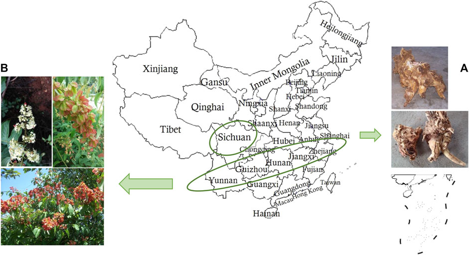 www.frontiersin.org