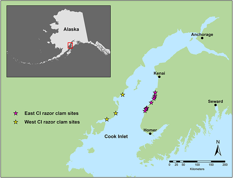 Figure 1 - Map of Alaska and Cook Inlet (CI), where our study sites were located.
