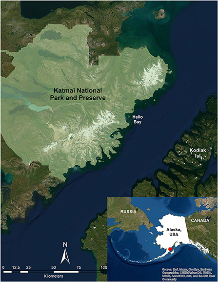 Figure 1 - Katmai National Park and Preserve is located along the coast of Alaska, USA.