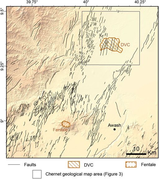 www.frontiersin.org