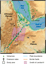 www.frontiersin.org