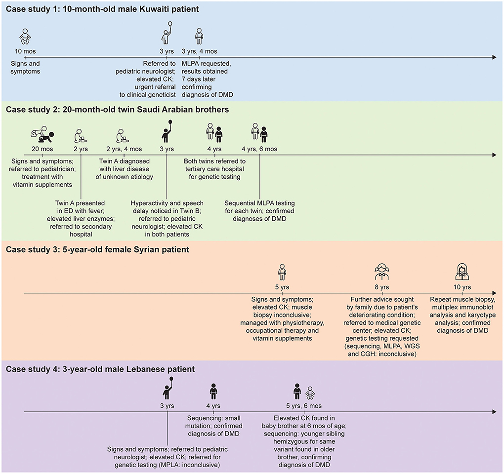 duchenne muscular dystrophy gene