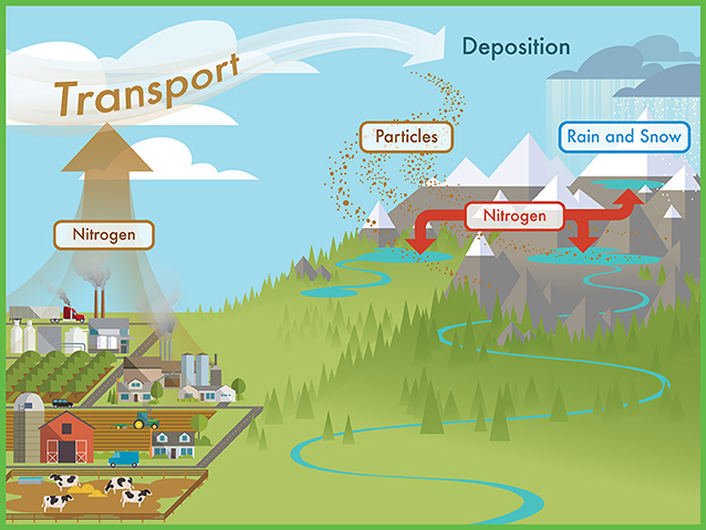Figure 1 - Sources of nitrogen include farms, vehicles, and industrial plants located in upwind communities.