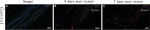 www.frontiersin.org