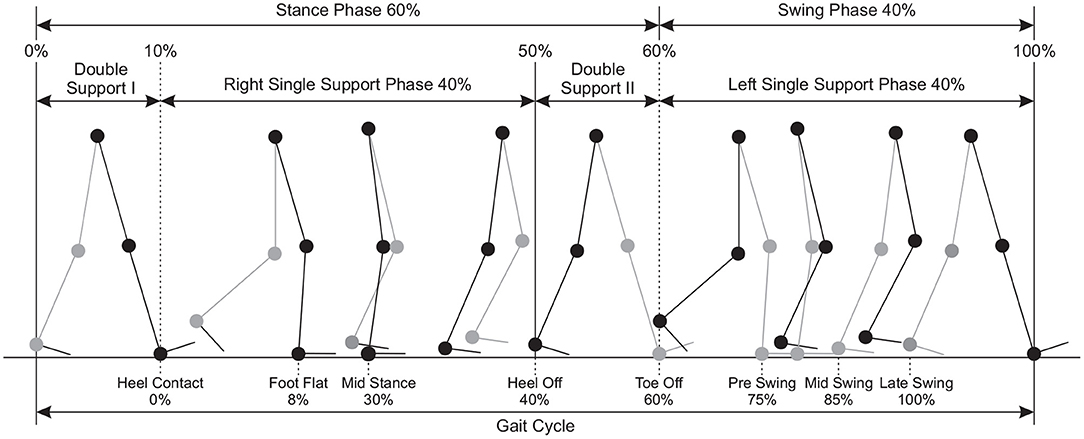 Frontiers  A Review of the Potential of Virtual Walking Techniques for  Gait Rehabilitation