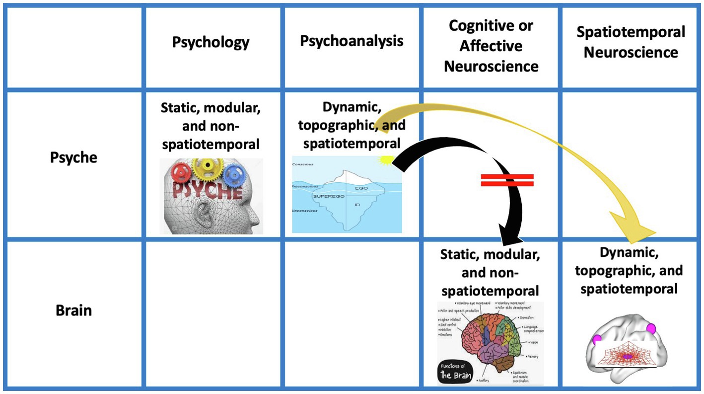 Frontiers | “Project for a Spatiotemporal Neuroscience” – Brain and ...
