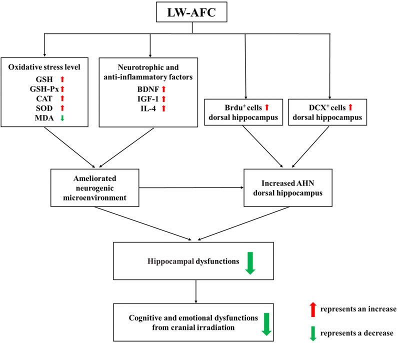 Frontiers | Active Fraction Combination From Liuwei Dihuang Decoction ...