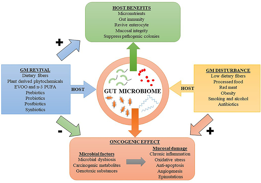 Frontiers | Emerging Evidence on the Effects of Factors on the Microbiome in Colorectal Cancer | Nutrition