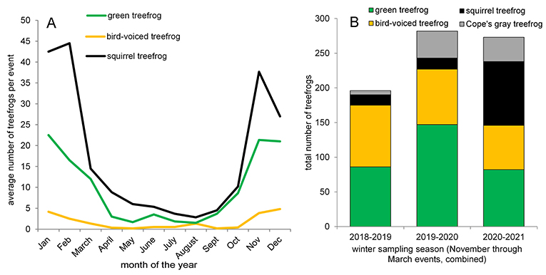 Figure 3 - (A) The average number of treefrogs found during a single morning per month at one site with 52 pipes at Barataria Preserve, from 2011 to 2017.