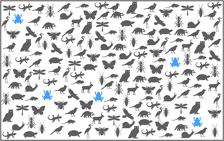 Indicator Species Reveal Environmental Health · Frontiers for Young Minds