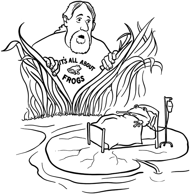 Figure 3 - Scientists look to frogs to indicate whether the environment is sick.