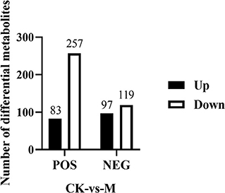 Frontiers | Metabolomics Analysis of Splenic CD19+ B Cells in Mice 