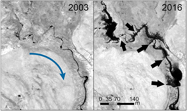 Figure 2 - Satellite pictures showing the effects of beavers on an Arctic stream in northwest Alaska.