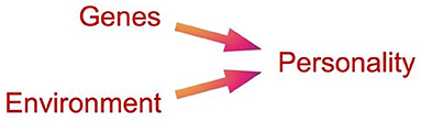Figure 2 - Genes and environment each play a role in the development of a person’s personality.