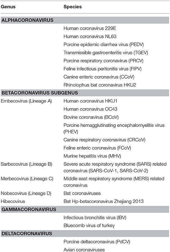 Phylogenetic analysis of bat betacoronavirus (A) and bat rotavirus (RV)