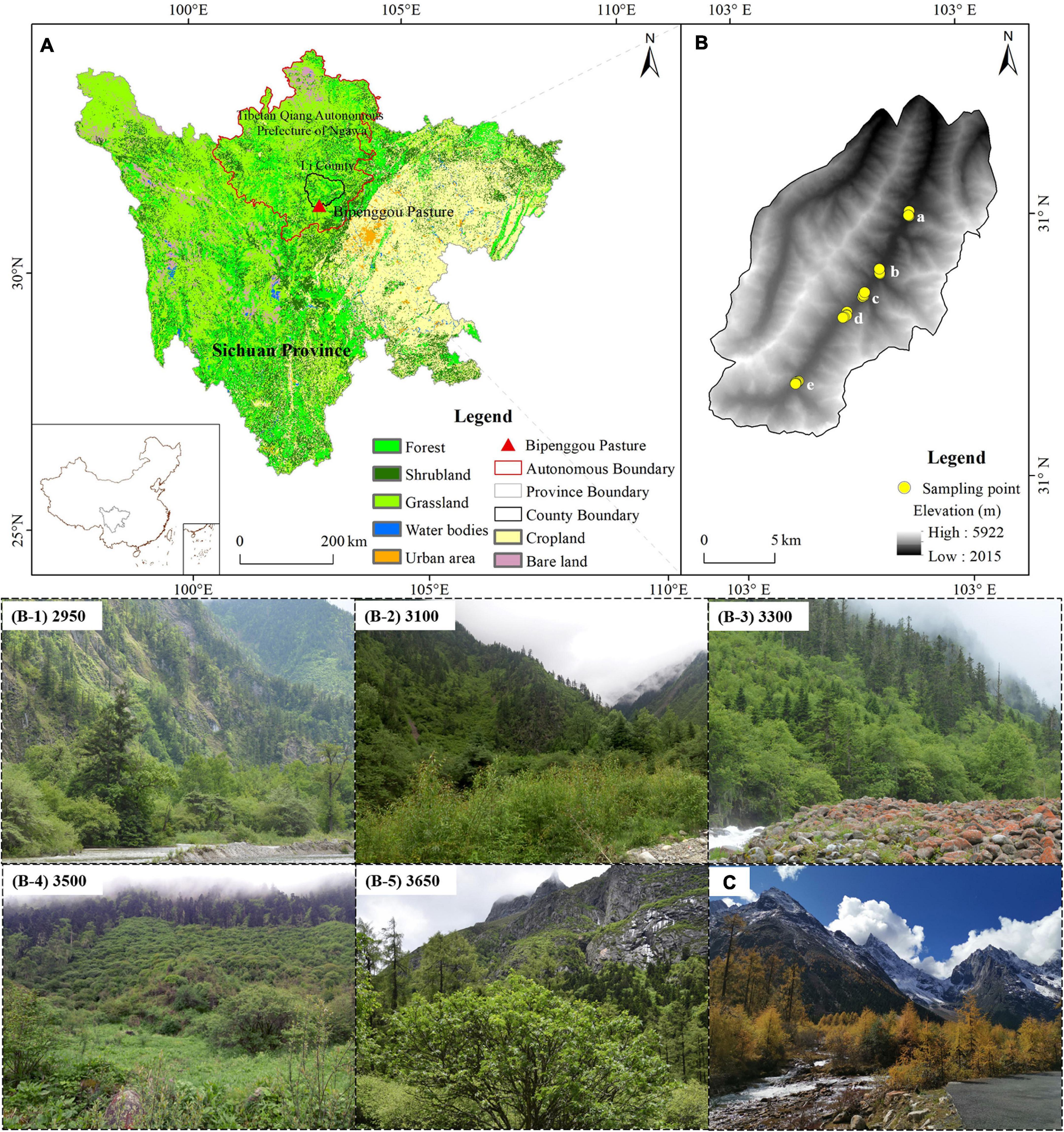 Frontiers | Divergent Responses of Floral Traits of Lonicera 