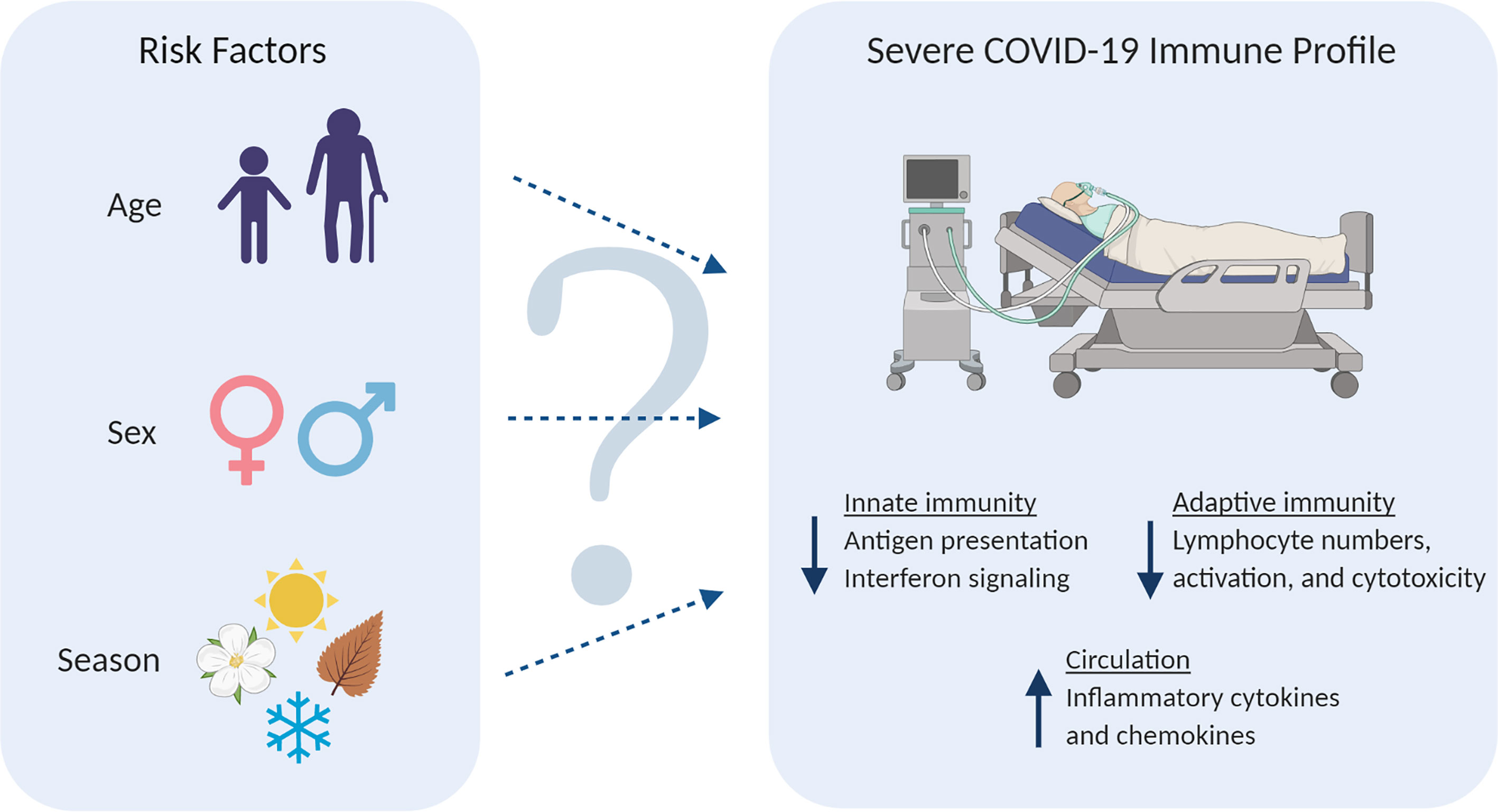 Researchers discover differing immune response leads to worse COVID  outcomes for men- Princeton Engineering