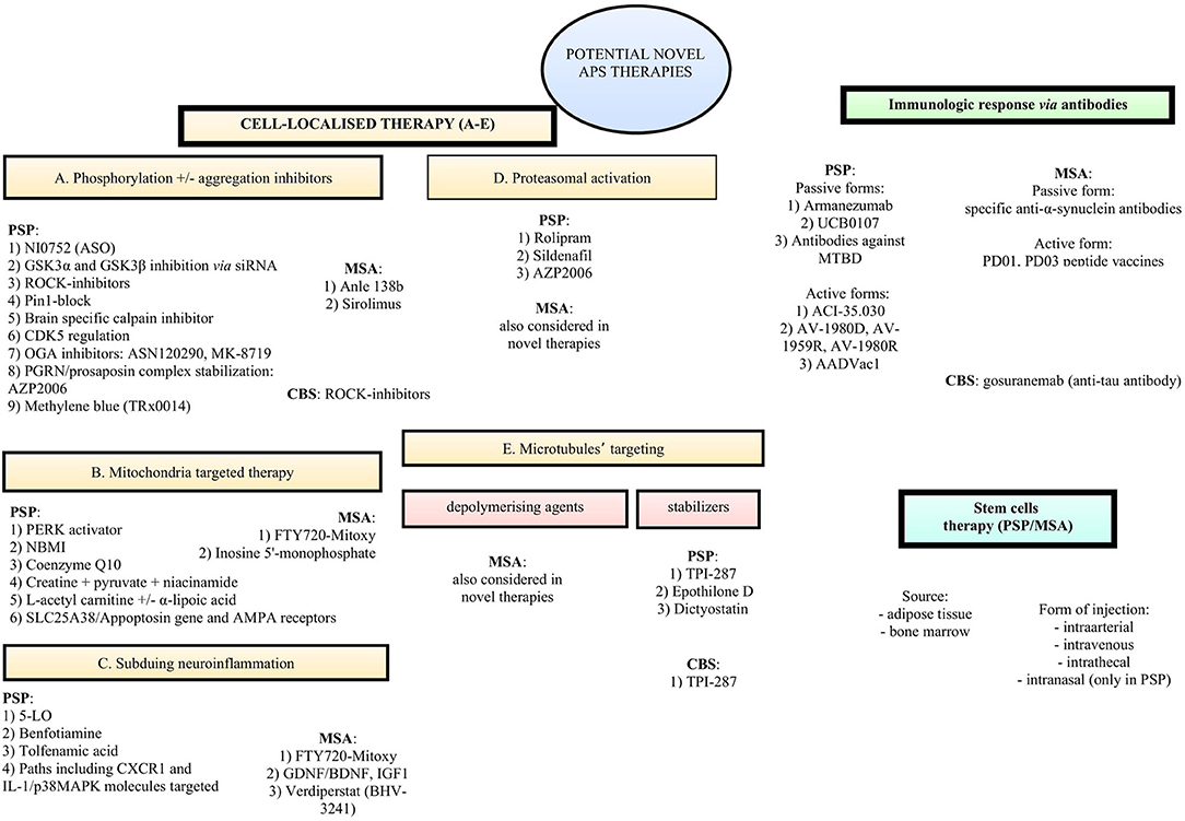 frontiers novel therapies for parkinsonian syndromes recent progress and future perspectives molecular neuroscience