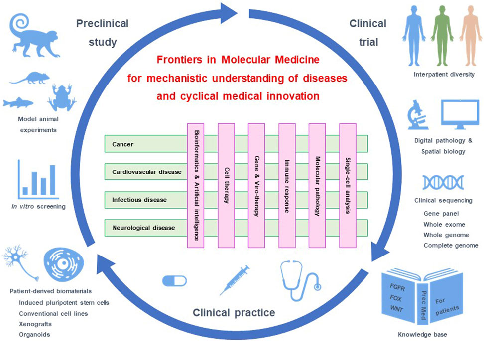 phd in molecular medicine in india