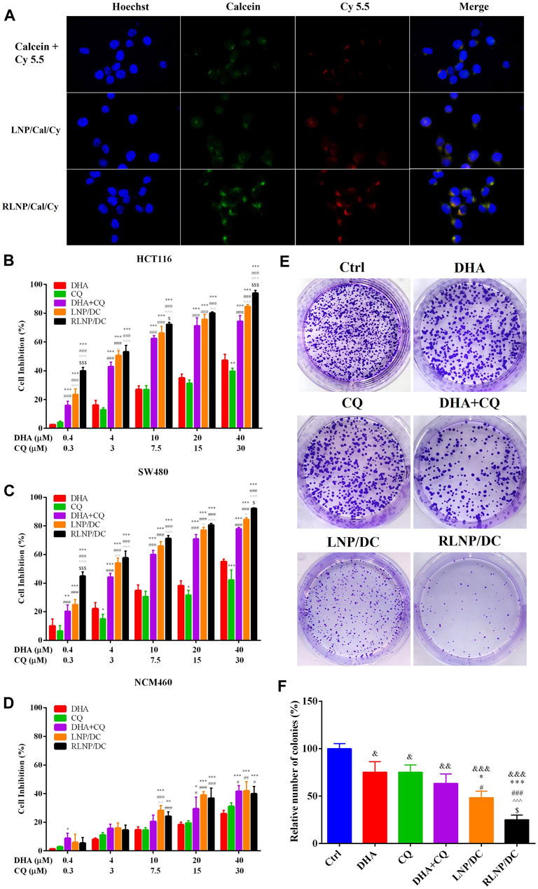 Frontiers | Targeted Lipid Nanoparticles Encapsulating