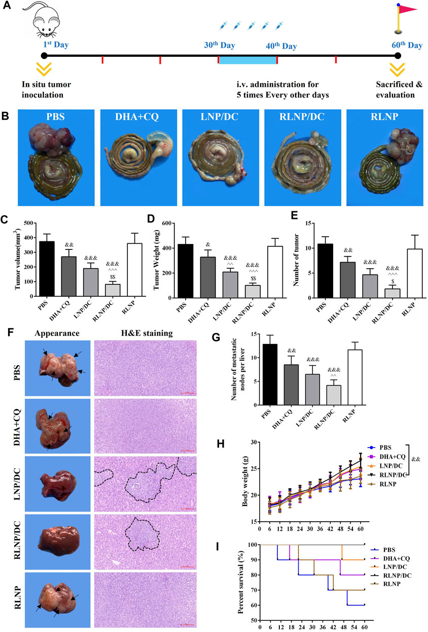 Frontiers | Targeted Lipid Nanoparticles Encapsulating