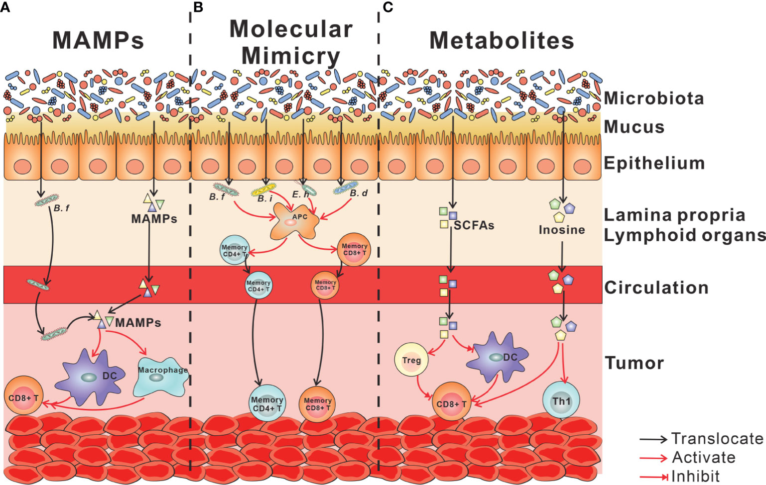 Protective Effects of Microbiome-Derived Inosine on