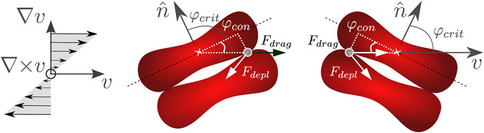 www.frontiersin.org