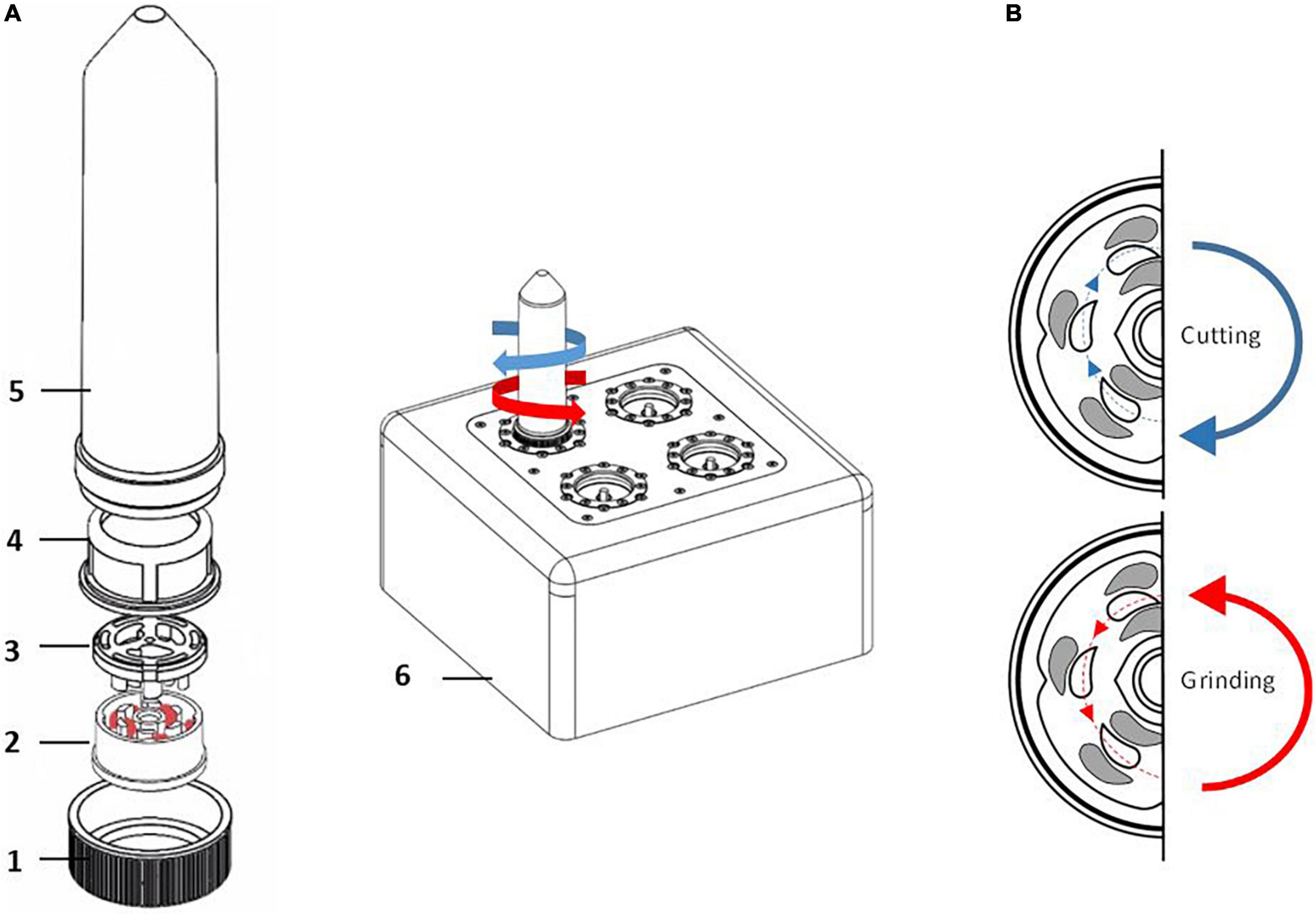 Frontiers TissueGrinder A Novel Technology For Rapid Generation Of 