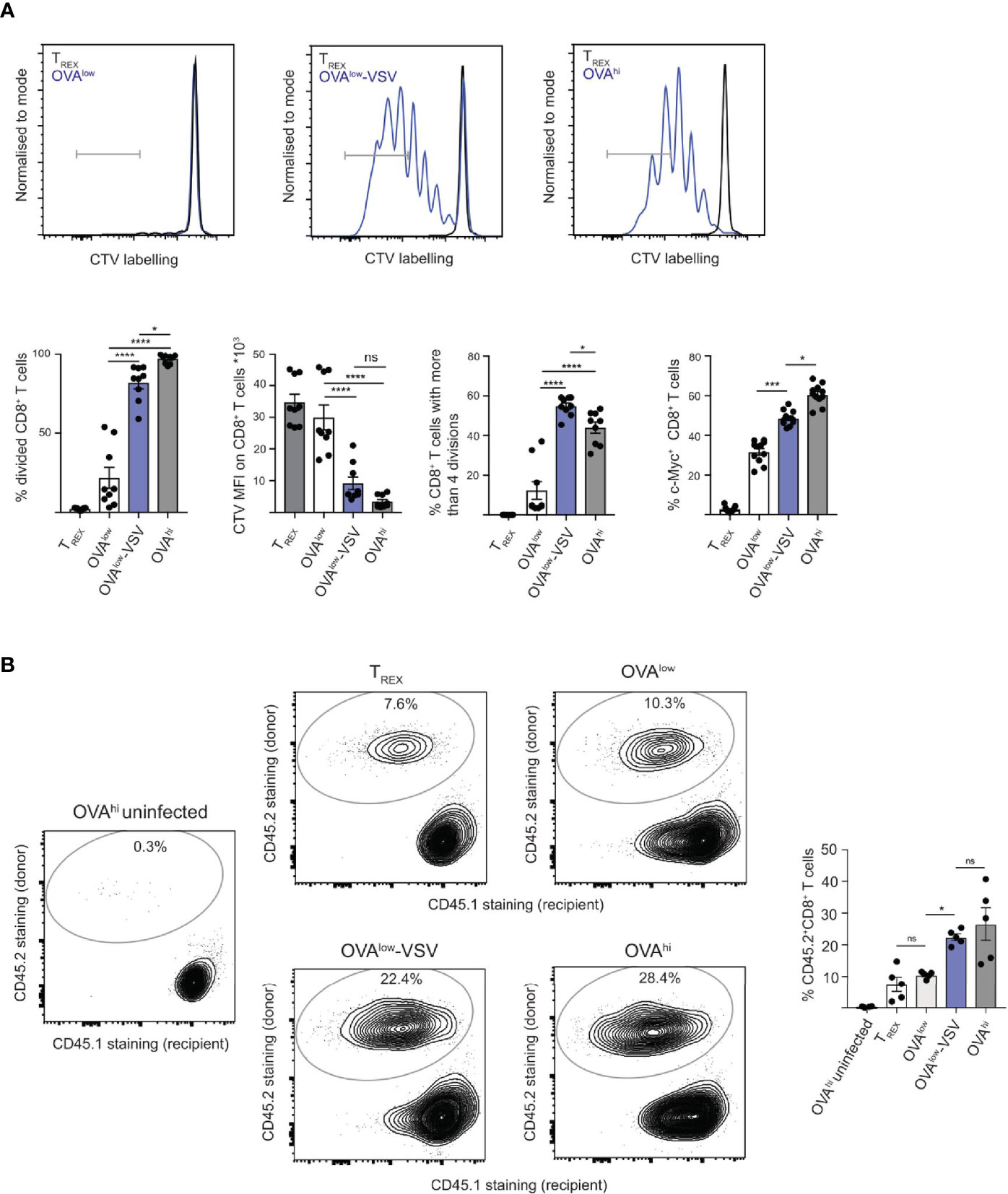 Frontiers | Non-Stimulatory pMHC Enhance CD8 T Cell Effector