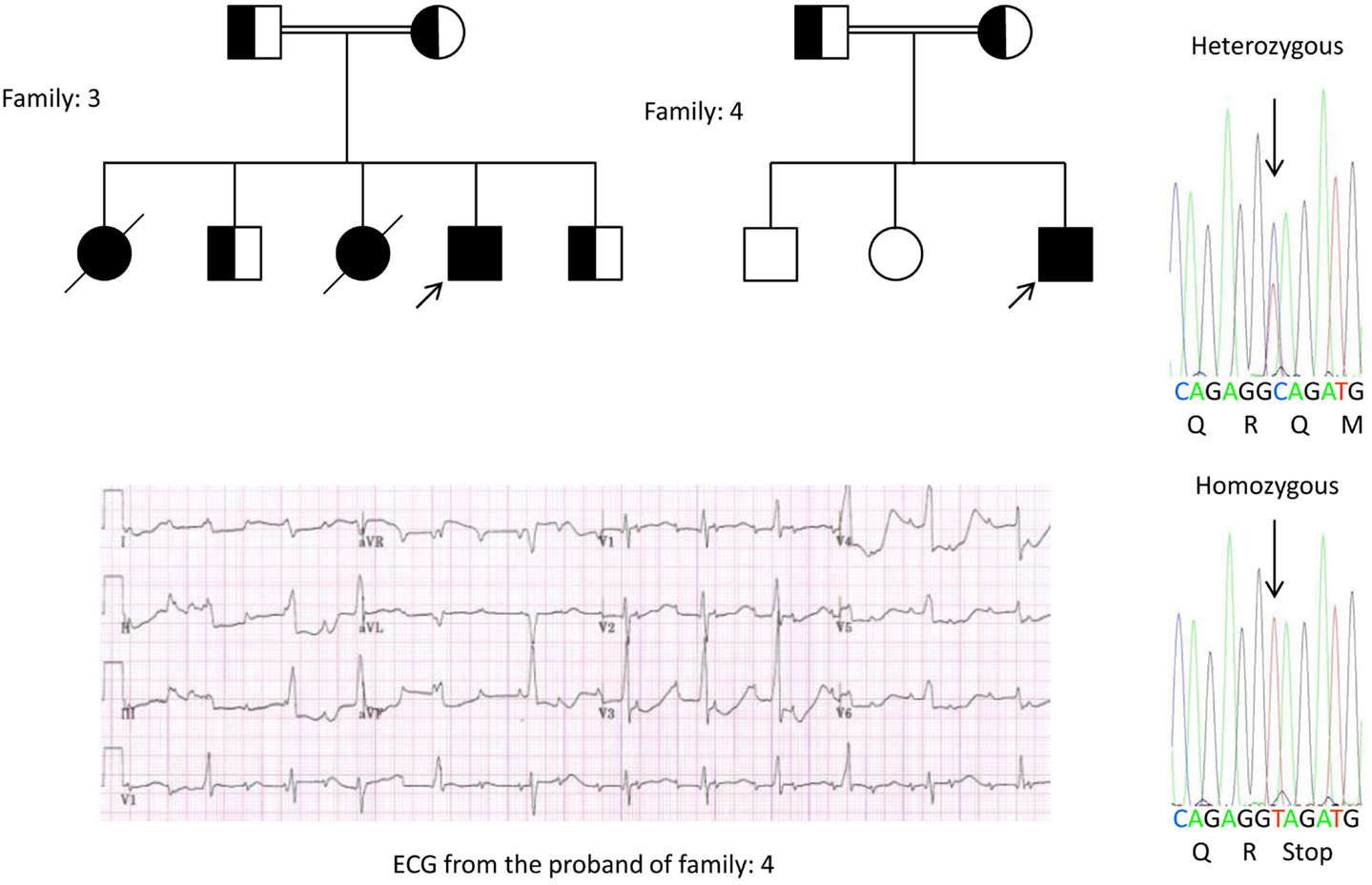 Qt Interval Chart