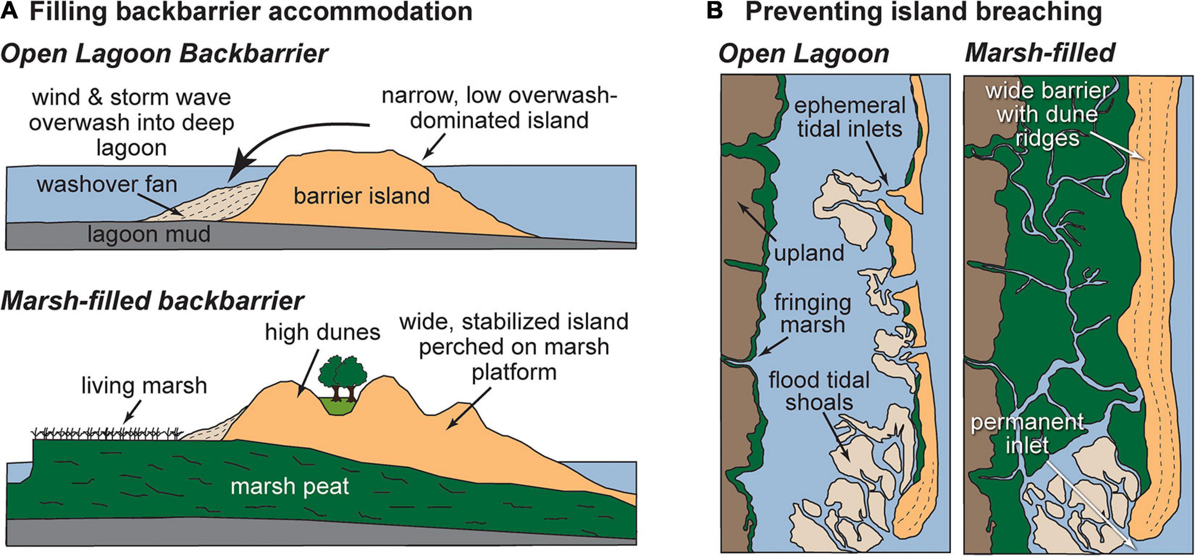 Study predicts faster retreat of barrier islands