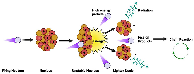 Figure 2 - The nuclear fission reaction.